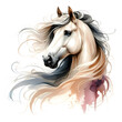 Horse. A white horse. Horse head. Mare. Portrait. Watercolor. Isolated illustration on a white background. Banner. Close-up