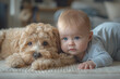 The baby lies on a soft blanket, next to a fluffy dog, a faithful friend, and looks at the world with curiosity, full of joy and peace