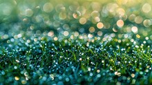   A Tight Shot Of Grass Bearing Water Droplets, Foreground Grass Softly Blurred