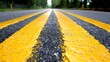   A tight shot of a roadway featuring a yellow divider line and tree-lined backdrop
