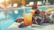 stylish dog in sunglasses near the pool on vacation with a cocktail