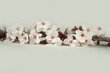 a delicate branch of cherry blossoms at the top of the photo on a gray light  background. 