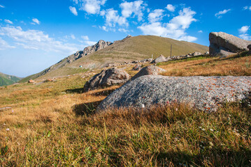 Wall Mural - landscape with sky