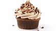 Elegant portrait of a gourmet cupcake, showcasing a swirl of decadent icing and delicate toppings, isolated on a clean white backdrop