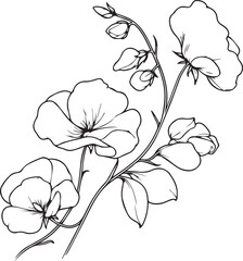 Wall Mural - Outline print with blossoms Sweet pea, leaves, and buds Sweet pea flowers tattoos, Ornate contour Sweet pea plant for coloring pages isolated on a white background