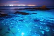 blue shining water in the sea bioluminescence seascape