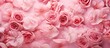 Pink roses white flowers wall