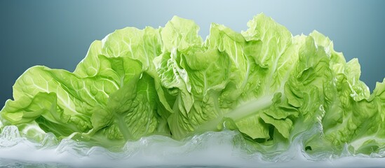 Sticker - Lettuce on plate with water