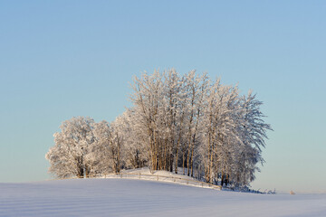 Wall Mural - Winter time in the cultural landscape of Toten, Norway, in January. Image shot in the area between Kolbu Church and Gardlausstua.