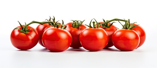 Wall Mural - Tomatoes in straight line on white surface