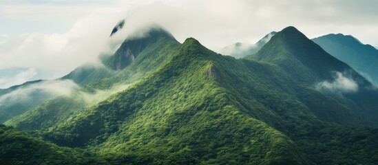 Wall Mural - A serene mountain vista under a gentle sky