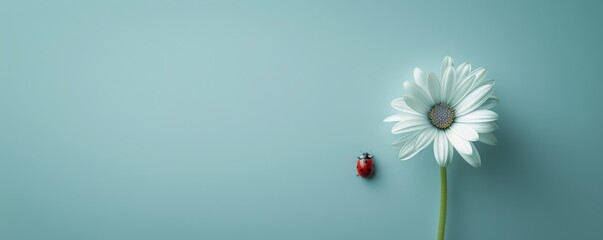 Poster - Minimalist daisy and ladybug on pastel background