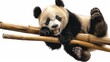  Relaxed panda lounging on bamboo with a content expression.