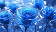幻想的な透明感のある青い薔薇
