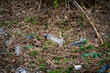 garbage in the forest