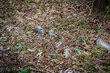 garbage in the forest