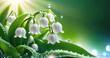 Lily of the valley flowers with water droplets in sunny day.Lily-of-the-valley. Convallaria majalis.Spring floral background. Banner for design with copy space.Generative AI