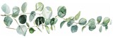 Fototapeta  - Watercolor Eucalyptus Floral Card Design Generative AI
