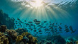 Underwater view of a school of fish swimming in the red sea