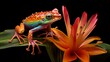 Colorful tree frog sits on a leaf against a black background, vibrant flora