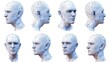 © Joyce - 3d rendered digitized human head model