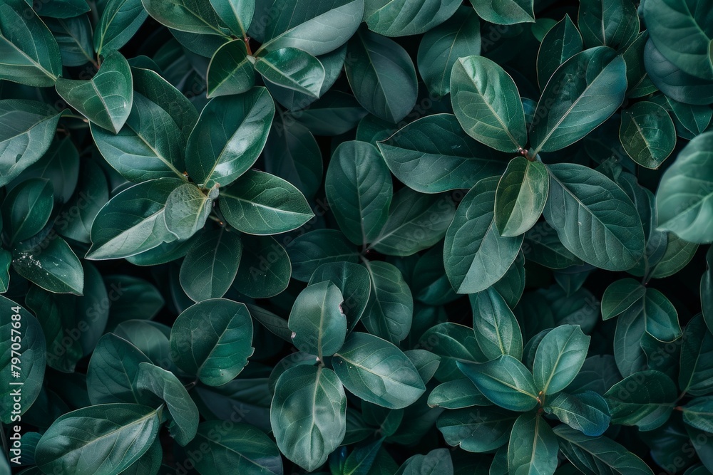 tropical leaves on a dark background - Generative AI. Beautiful simple ...