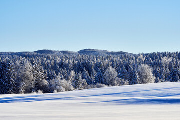 Wall Mural - Winter time in the cultural landscape of Toten, Norway, in January. Image shot in the area between Kolbu Church and Gardlausstua.