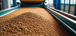 Factory of dog or cat feed dry food production of combined pelleted animal feed, Manufacturing Equipment, Pet Food Industry