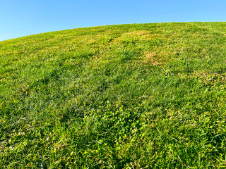 Idyllic Grassy Green Hill Against a Clear Blue Sky. Minimalist nature background scene. Park scene with a tall hill covered in bright green grass. A clear blue sky is above.