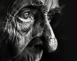 A close up black and white portrait of an old person with wrinkles and a sad look in their eyes.