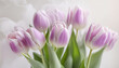 Fiori di tulipano rosa. Fondo floreale astratto, decorazione