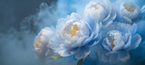 Fototapeta Tulipany - Fiori blu, peonie primaverili. Sfondo floreale