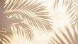 blurred shadow from palm leaves on light cream wall beautiful summer spring studio background overlay