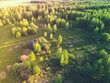 aerial view of the forest and green crowns