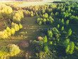 aerial view of the forest and green crowns