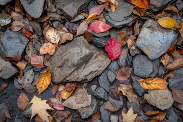 Poster - Autumn Leaves Resting on Rocky Ground