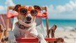 Cheerful dog wearing sunglasses relaxing in a beach deck chair