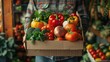 Person holding a cardboard box full of fresh groceries with vivid colors