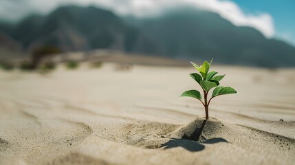 Wall Mural - A plant growing in the sand with mountains in the back
