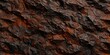 Close-up of a rugged, textured surface with dark and rusty tones, resembling a rocky or metallic landscape.