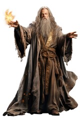 Wizard portrait costume white background.