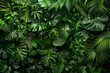 © grey - The lush and dense texture of rainforest foliage showcases the vibrant greens and intricate patterns.