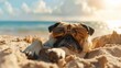 A relaxing pug dog on a sunny day at the beach