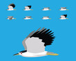 Bird Night Heron Flying Cartoon Vector Animation Frame