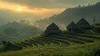 Minimalist terraced fields at sunrise with small huts, stepped patterns in medium telephoto lens