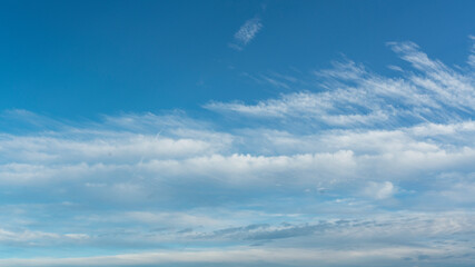 Wall Mural - white clouds against a blue sky on a sunny day.