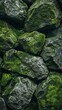 Verdant moss on rugged rocks