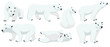 vector drawing polar bears, cartoon animals isolated at white background, hand drawn illustration