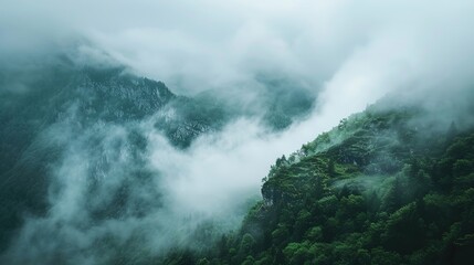 Wall Mural - A mountaintop view where clouds and fog merge, blurring the horizon