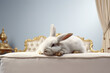 Image of cute white rabbit lying on sleeping cushion. Pet. Animals. Illustration. Generative AI..